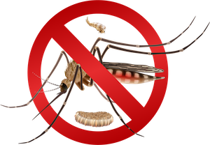 HoSHAS Logo
